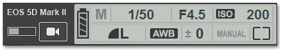 In-software camera settings