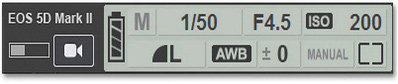In-software camera status and settings