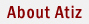 About Atiz