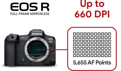 User manual Canon EOS 250D (English - 495 pages)