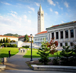 University of California, Berkeley: Scanning the hell out of books