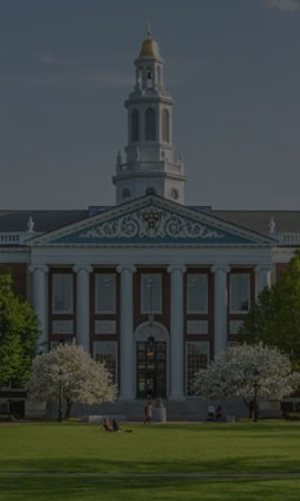 Harvard University